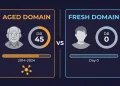 Split comparison of aged domain vs fresh domain metrics for iGaming SEO affiliate strategy