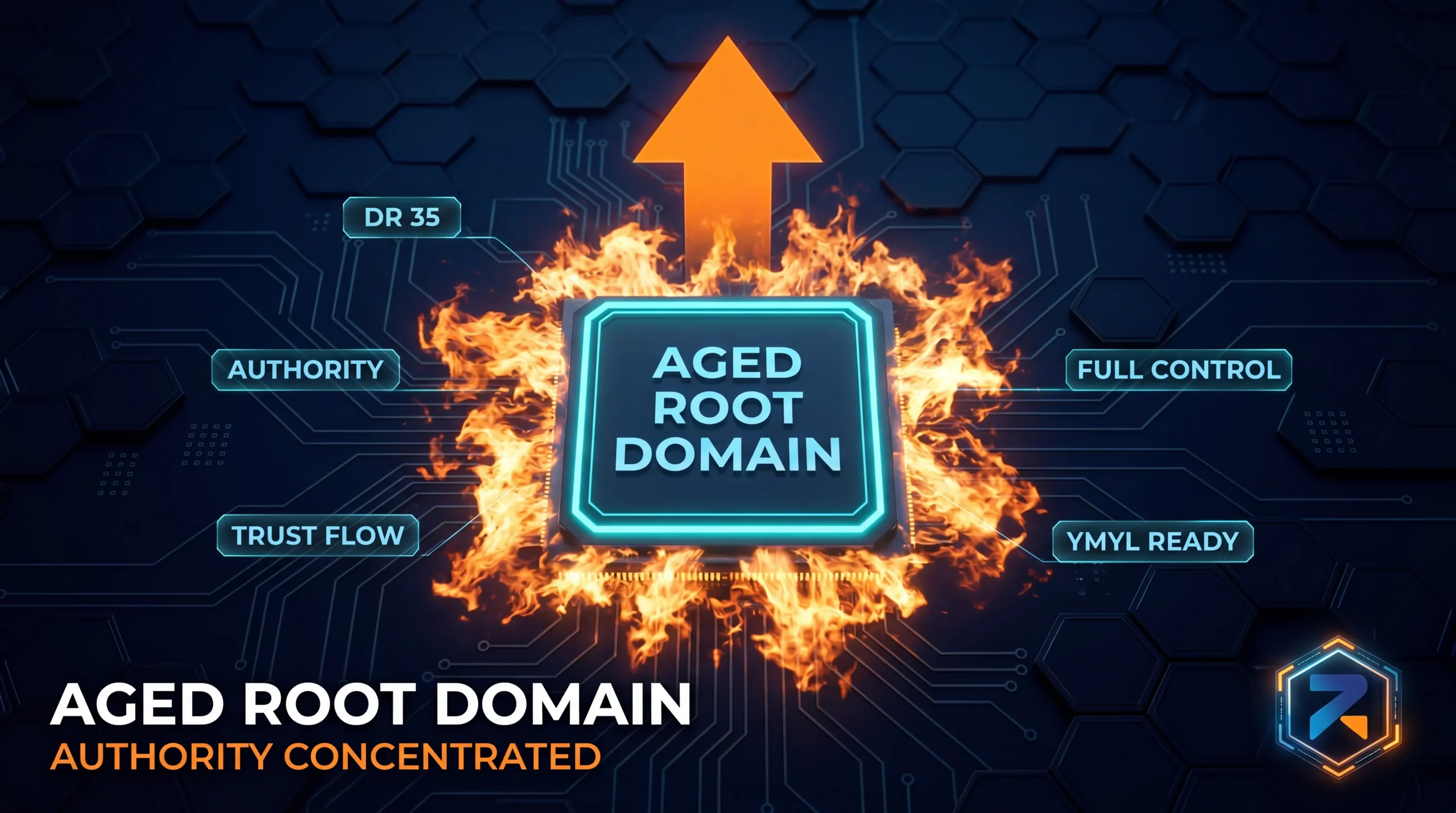 Aged root domain concentrating full authority for iGaming SEO rankings