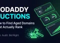 GoDaddy Auctions guide for finding aged domains that rank — filter, audit, and bid strategy