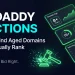 GoDaddy Auctions guide for finding aged domains that rank — filter, audit, and bid strategy