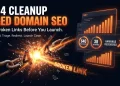 404 cleanup and broken link triage on an aged domain before launching an iGaming SEO site