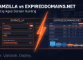 Spamzilla vs ExpiredDomains.net comparison for iGaming aged domain hunting — tool interface side by side with domain quality filter metrics