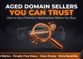How to vet a trustworthy aged domain seller before buying — 7-point checklist for spotting a genuinely premium marketplace