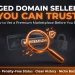 How to vet a trustworthy aged domain seller before buying — 7-point checklist for spotting a genuinely premium marketplace