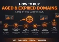 Step-by-step guide to buying aged or expired domains in 2026 — from vetting to DNS transfer