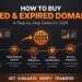 Step-by-step guide to buying aged or expired domains in 2026 — from vetting to DNS transfer