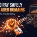 How to pay safely when buying an aged or expired domain — Rexusdomain banner