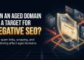Can an Aged Domain Be a Target for Negative SEO?