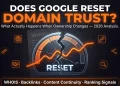 Does Google reset a domain's trust when ownership changes — WHOIS transfer versus content signal explained for aged domain buyers