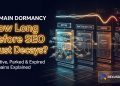 How Long Can a Domain Stay Dormant Before SEO Trust Decays?